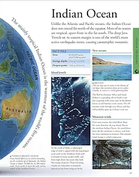 Ocean. A Children's Encyclopedia - мініатюра 3