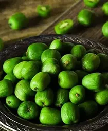 Саджанець Agro-Market Актинідія Київська великоплідна (міні-ківі, морозостійкий сорт, пізній термін дозрівання) (44815) 1 шт. в упаковці - мініатюра 5