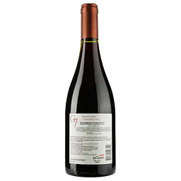 Вино G7 Reserva Syrah, червоне, сухе, 14,5%, 0,75 л (8000009377858) - мініатюра 2