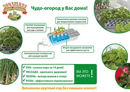 Домашня гідропонна установка Чудо-Грядка - мініатюра 6