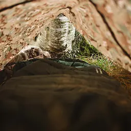Тент Highlander Basha Shelter HMTC (MA100-HC) - мініатюра 2