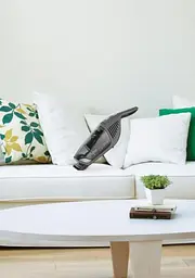 Вертикальний пилосос Gorenje SVC 216 FGD [65696] - мініатюра 5