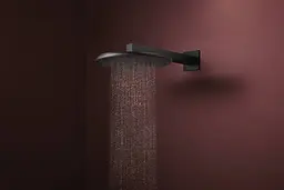 Верхній душ Hansgrohe Raindance Alive S 300 2jet EcoSmart з тримачем matt black 24541670 - мініатюра 3