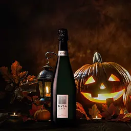 Вино ігристе MVSA Cava DO Brut біле брют 0.75 л - мініатюра 8