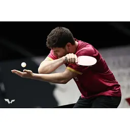 Ракетка для настільного тенісу Butterfly Ovtcharov Prime Carbon FL (6116500002) (931823) - мініатюра 6