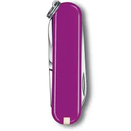 Ніж Victorinox Classic SD Colors Tasty Grape (0.6223.52G) - мініатюра 3