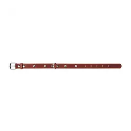 Нашийник Collar одинарний з прикрасами, 27-35х1,4 см, коричневий - мініатюра 3