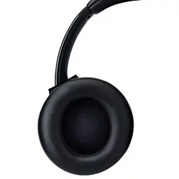 Навушники Panasonic RB-M600B Black (RB-M600BG-K) - мініатюра 3