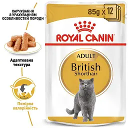 Вологий корм для дорослих кішок породи британська короткошерста Royal Canin British Shorthair Adult, шматочки в підливі, 85 г - мініатюра 6