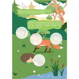 Книга Талант Малюки-розумнички Лісові звірята - мініатюра 2