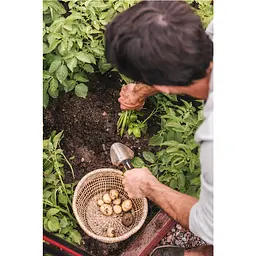 Совок садовий для квітів Fiskars Xact™ 8 см (1027043) - мініатюра 4