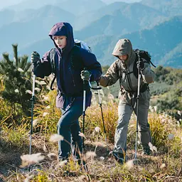 Трекінгова палиця 3-секційна Naturehike ST06 NH17D006-D, 66-135 см, зелена - мініатюра 4