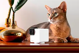 IP-камера для відеоспостереження Petcube Cam 360 (P36010US) [109823] - мініатюра 5