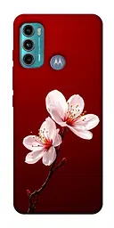 Чохол Demsky Sakura red для Motorola Moto G60