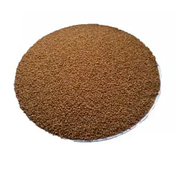 Рижій Насіння Рижик Camelina sativa - мініатюра 1
