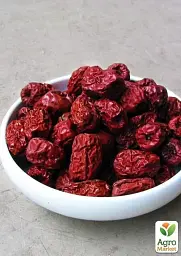 Саджанець Agro-Market Зизифус Коктебель (перехресне запилення садити по 2 саджанця різного ґатунку) 1 шт. в упаковці (25924) - мініатюра 3