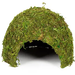 Схованка з моху Repti-Zoo Natural Mossy Dome L 22x17см ERS25L для тераріуму, рептилій і геконів, з живим мохом - мініатюра 3