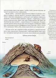 Енциклопедія для допитливих А5 : Тварини - винахідники і будівельники (Українська, 01 КРЕЙДОВАНИЙ ) - Андрій Гапченко - мініатюра 10
