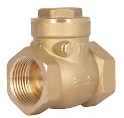 Зворотний клапан пелюстковий Thermo Alliance Standart 1" ВВ (низького тиску) SD242W25 - мініатюра 1