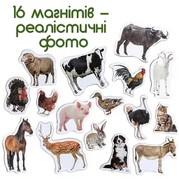 Набір магнітів Magdum Ферма реалістичні ML4031-04 EN - мініатюра 3