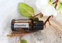 Ефірна олія DoTerra Копайба натуральна,15 мл - мініатюра 2