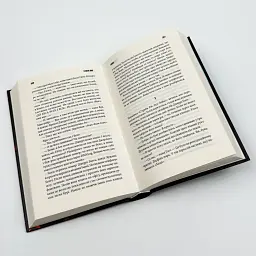 Голлі - Стівен Кінг | Клуб Сімейного Дозвілля, книга українською, нова, тверда - мініатюра 3