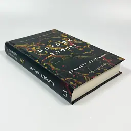 Доторк злості - Скарлетт Сент-Клер | BookChef, книга українською, нова, тверда - мініатюра 2