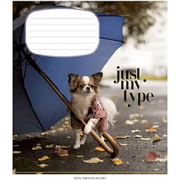 Зошит учнівський Школярик Pets portraits, в клітинку, 24 аркуші, ВД-лак, 25 шт. (024-3234K) - мініатюра 5