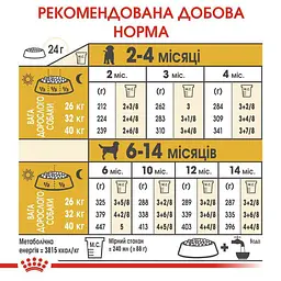 Сухий корм для цуценят породи Лабрадор Ретрівер Royal Canin Labrador Retriever Puppy, 12 кг (24911201) - мініатюра 7