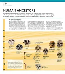 The Definitive Visual Guide: Complete Human Body - мініатюра 3