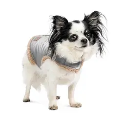 Шлея-жилет Pet Fashion Rob для собак розмір XS2 - мініатюра 3