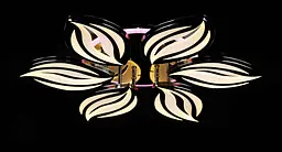 Люстра стельова LED Splendid Ray LK23/6, 160W, чорний/білий, димер, сучасний стиль - мініатюра 4