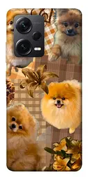 TPU чохол Demsky Spitz aethtetic для Xiaomi Redmi Note 12 Pro+ 5G