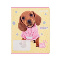 Зошит Kite Studio Pets, 12 аркушів, лінія (SP25-234) - мініатюра 3