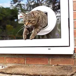 Дверцята для кішок SureFlap Sure Petcare DualScan з мікрочіпом, RFID-бірки для нашийників та сумісність з мікрочіпом, керування - мініатюра 5