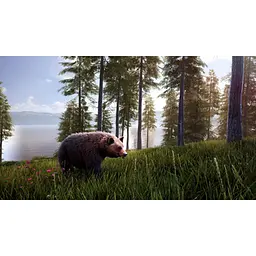Ключ активації Microsoft Hunting Simulator 2 - Bear Hunter Edition для Xbox One/Series S/X - мініатюра 2