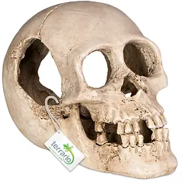 Декорація череп людини Terrario Human Skull XL 15x10x9см (161012) - мініатюра 1