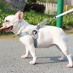 Шлея для собак Derby Duomm Pet harness FH106, XL Синій - мініатюра 4