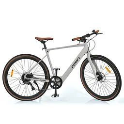 Електровелосипед 28д. MEB DASH-4 мот.250W батарея 48V10AH колеса 700*40C сірий мат (MEB 700C DASH-4)