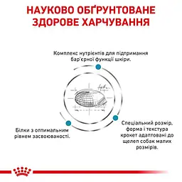 Сухий дієтичний корм для собак малих порід Royal Canin Skin Care Adult Small Dog при дерматозах та випадінні шерсті, 2 кг (40060201) - мініатюра 5