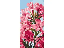 Картина за номерами Рожеві квіти, Art Craft (40х80 см)