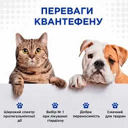 Пігулки антигельмінтні для собак та котів Modes Kvantefen 4 шт. - мініатюра 3