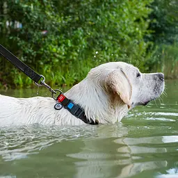 Нашийник для собак водостійкий Waudog Waterproof з QR-паспортом пластикова пряжка-фастекс Ш 25 мм Д 38-58 см чорний - мініатюра 5