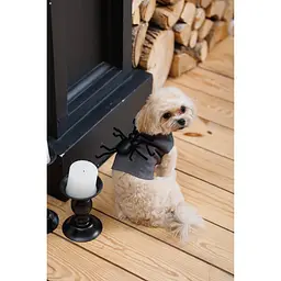 Аксесуар для собак Pet Fashion Spider XS-XXS  - мініатюра 6