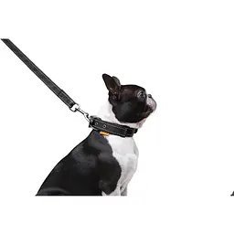 Повідець Dog Extreme з нейлону подвійний (ширина 20мм, довжина 122см), чорний - мініатюра 7