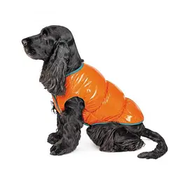 Жилет Pet Fashion Spring для собак, розмір XS2, помаранчевий - мініатюра 3