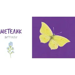 Збери веселку. Insects   - мініатюра 3