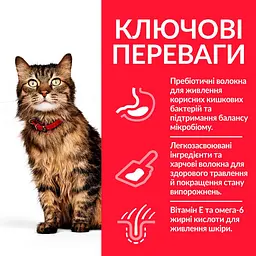 Сухий корм Hill's SP Adult Sensitive Stomach&Skin для котів із чутливим травленням з куркою 0.3 кг - мініатюра 2