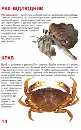 Велика книжка. Мешканці морів та океанів - мініатюра 4