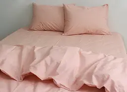 Постільна білизна (Pale Blush) 2-спальний TAG tekstil pbe0028342 - мініатюра 2